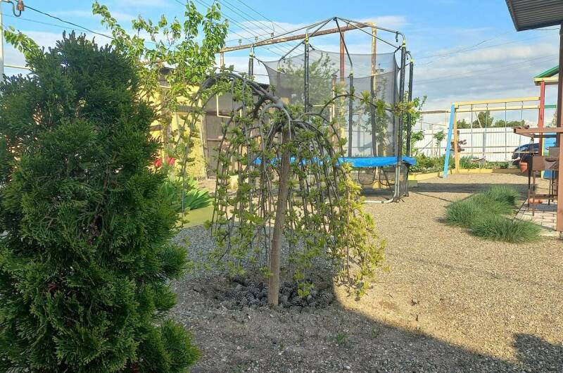 Изображение Изображение гостиницы "Частный сектор «Коса Должанская»" #8 #8