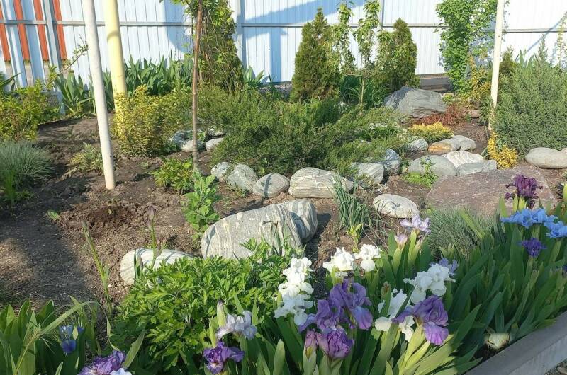 Изображение Изображение отеля / гостиницы "Частный сектор «Коса Должанская»" #11 #9