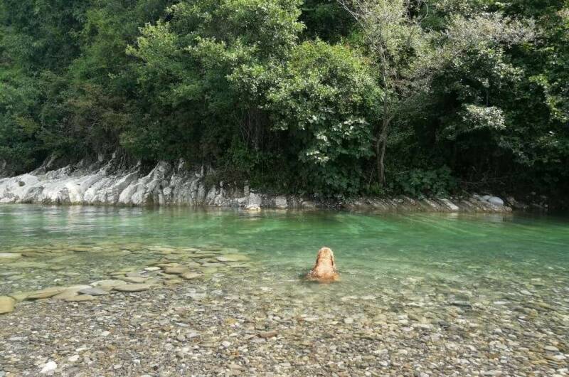 Изображение Изображение отеля / гостиницы "Гостевой дом «Летний»" #10 #8