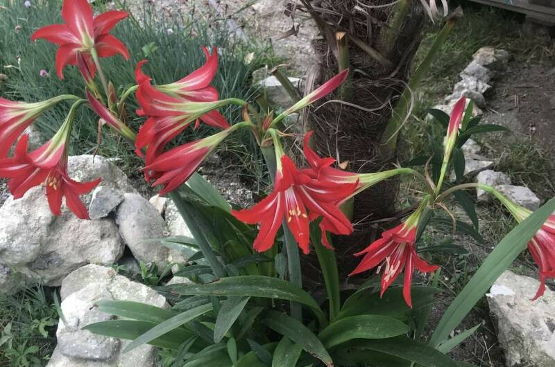 Изображение Изображение гостиницы &quot;Гостевой дом «Ангелина»&quot; #4 #4