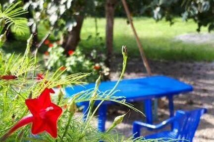 Изображение Изображение отеля / гостиницы "Гостевой дом «ТомИло»" #10 #8