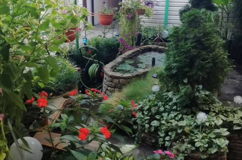 Изображение Изображение гостиницы "Гостевой дом «Отдых»" #1 #1