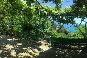 Изображение отеля / гостиницы "Гостевой дом «У Зои и Гранта»"