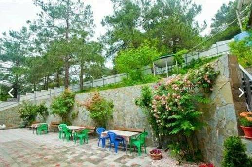 Изображение Изображение гостиницы "Пансион «Сосны»" #5 #5