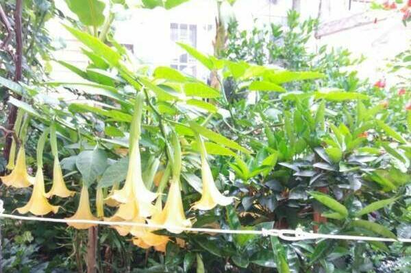 Изображение Изображение гостиницы "Гостевой дом «Приморский дворик»" #4 #4