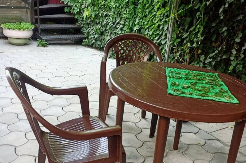 Изображение Изображение отеля / гостиницы "Гостевой дом на Свердлова" #11 #9