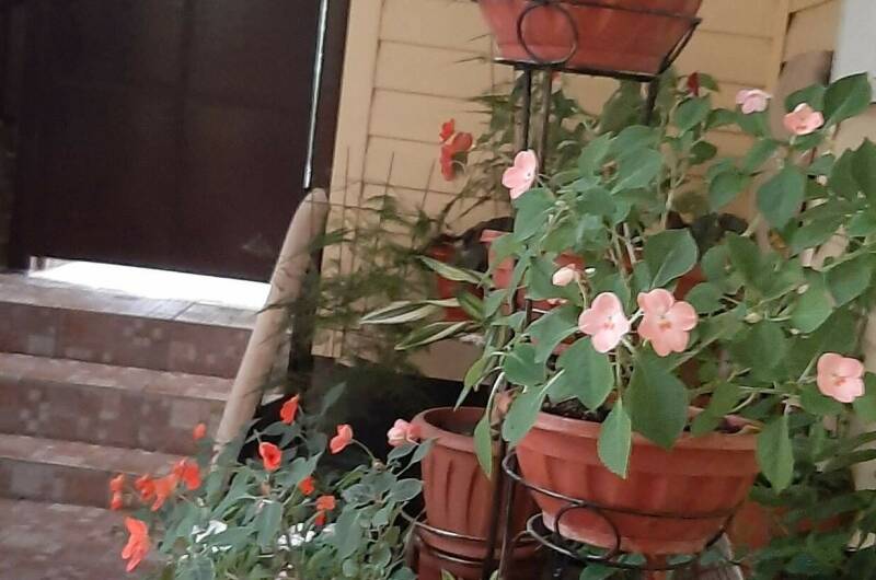 Изображение Изображение гостиницы &quot;Частный дом «Natasha Hause» на Белинского&quot; #4 #4