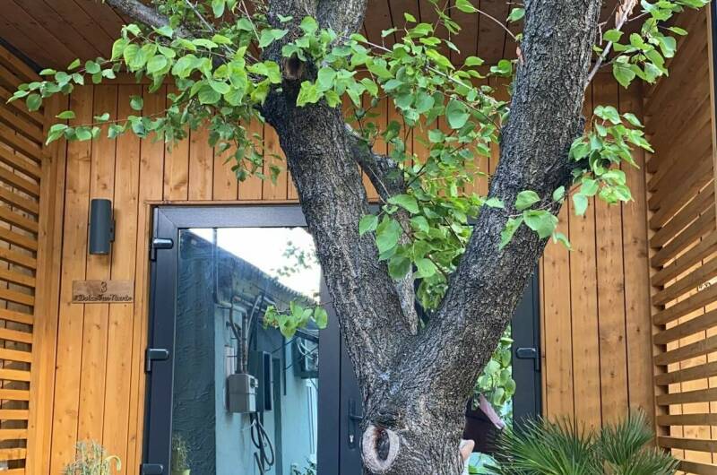 Изображение Изображение отеля / гостиницы "Гостевой дом «DolceFarNiente»" #10 #8