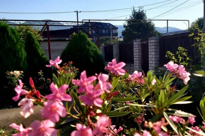 Изображение Изображение гостиницы "Гостевой дом «Людмила»" #3 #3