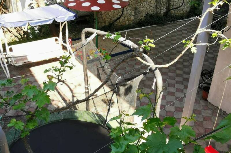 Изображение Изображение гостиницы &quot;Гостевой дом «Ксения»&quot; #8 #8