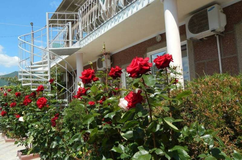 Изображение Изображение гостиницы &quot;Гостиница «Консульский дворик»&quot; #8 #8