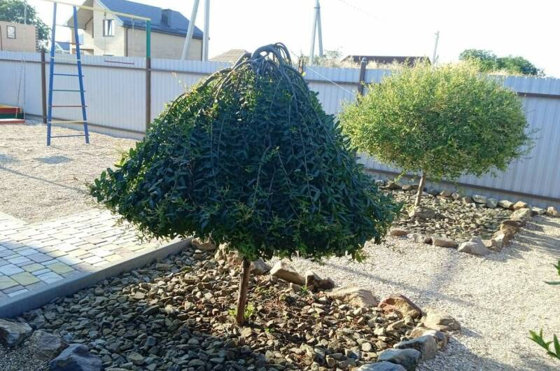 Изображение Изображение гостиницы &quot;Гостевой дом «Высокий берег»&quot; #4 #4