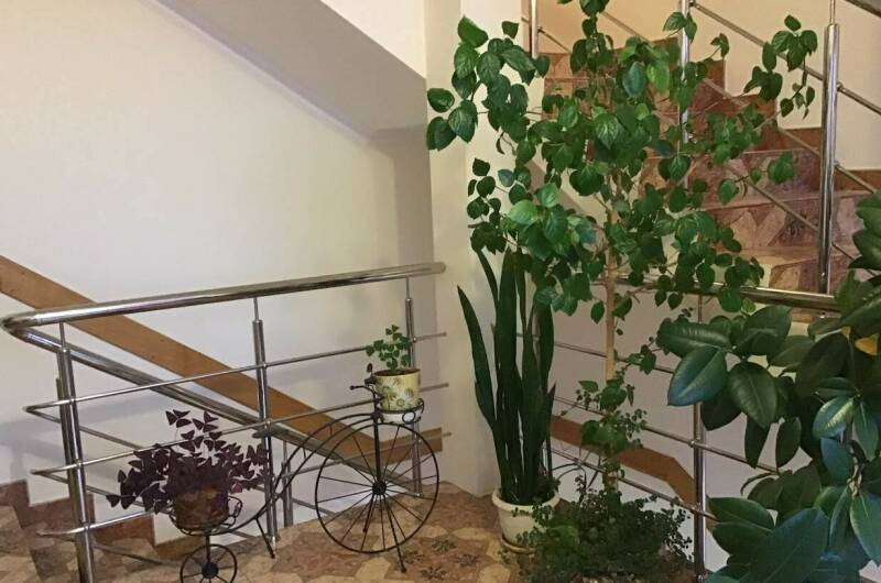 Изображение Изображение гостиницы &quot;Гостевой дом на Изумрудной&quot; #3 #3