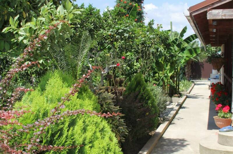 Изображение Изображение отеля / гостиницы "Гостевой дом «Атлант»" #11 #9