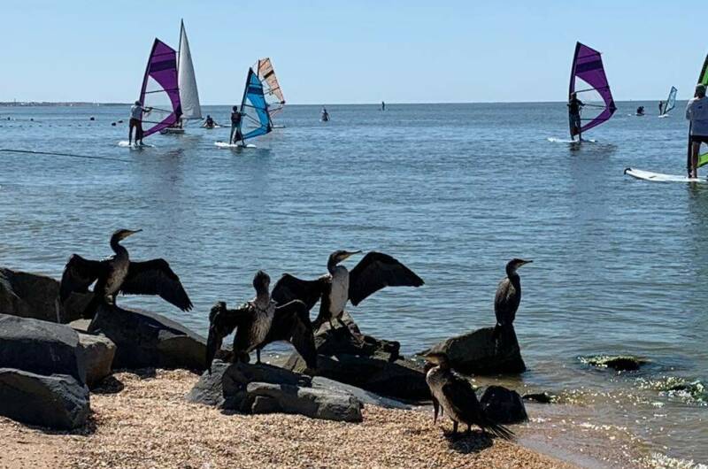 Изображение Изображение гостиницы &quot;База отдыха «Меотида»&quot; #5 #5