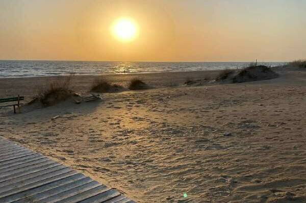 Изображение Изображение гостиницы "Гостевой дом «Domanapa.uposidelkina»" #4 #4