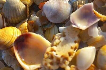 Изображение Изображение гостиницы "Гостевой дом «Domanapa.uposidelkina»" #7 #7