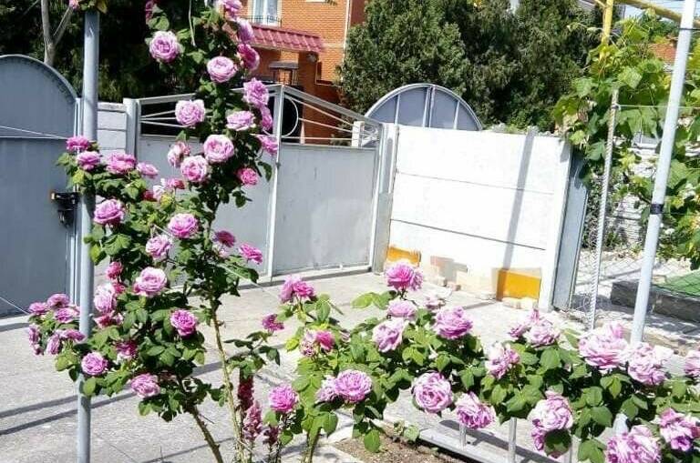 Изображение Изображение квартиры &quot;Таунхаус под ключ на Ленина&quot; #2 #2