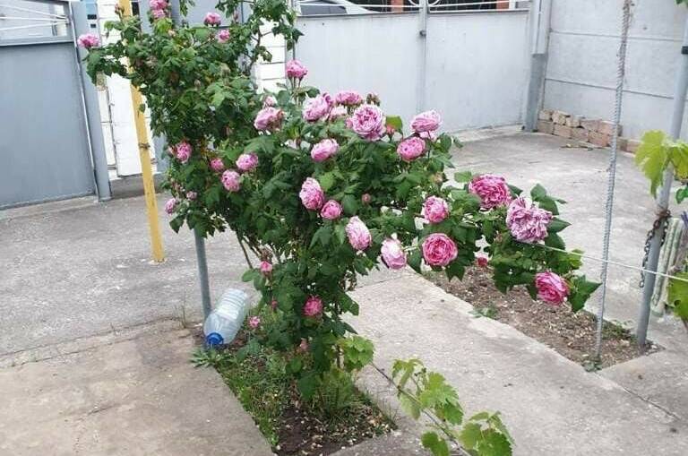 Изображение Изображение квартиры &quot;Таунхаус под ключ на Ленина&quot; #5 #5