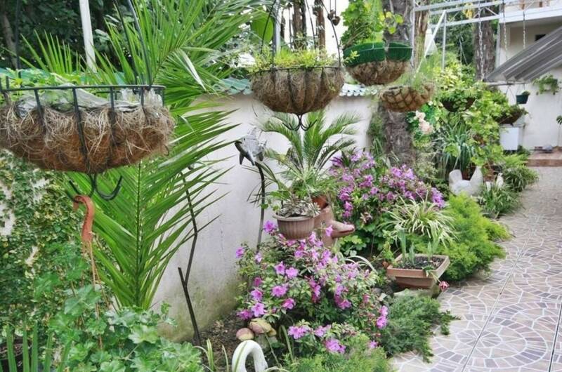 Изображение Изображение гостиницы "Гостевой дом «Надежда»" #5 #5