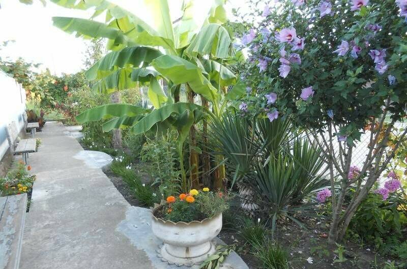 Изображение Изображение гостиницы "Гостевой дом «Шаолинь Кунг-Фу»" #4 #4