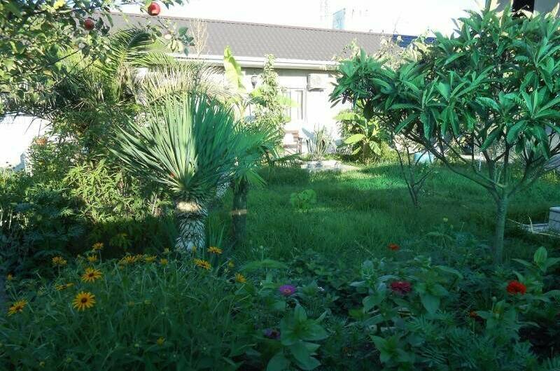 Изображение Изображение гостиницы "Гостевой дом «Шаолинь Кунг-Фу»" #5 #5