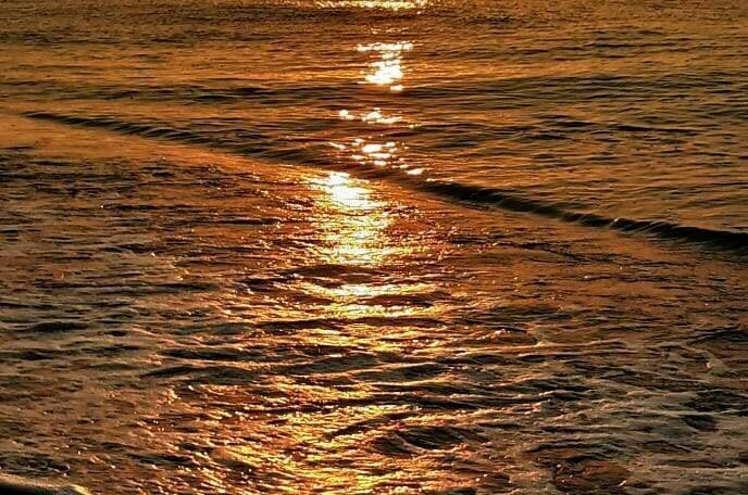 Изображение Изображение отеля / гостиницы "Санаторий «Кавказ»" #11 #9