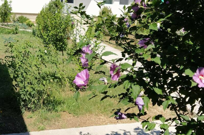 Изображение Изображение гостиницы &quot;Гостевой дом «Жемчужина»&quot; #2 #2