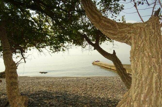 Изображение Изображение гостиницы &quot;База отдыха «Wooden house ANNA»&quot; #3 #3