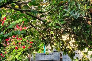 Изображение гостиницы "Частный сектор «Остров сокровищ»"