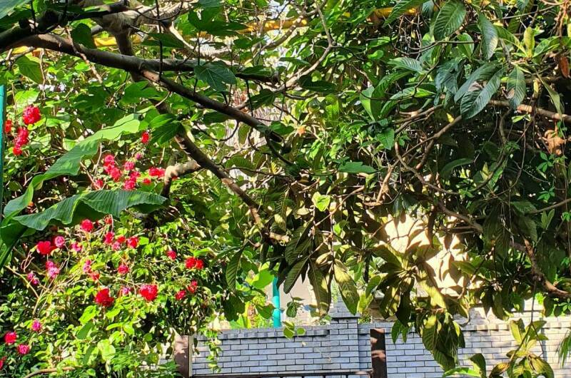 Изображение Изображение гостиницы "Частный сектор «Остров сокровищ»" #1 #1