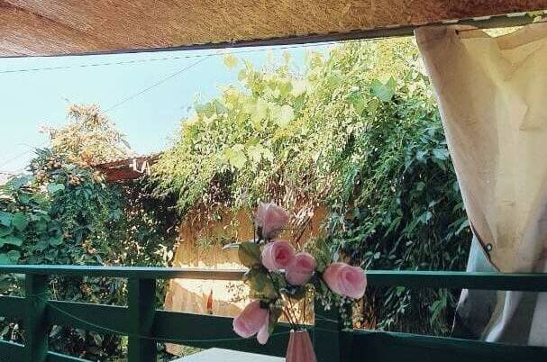 Изображение Изображение гостиницы "Частный сектор «Остров сокровищ»" #8 #8