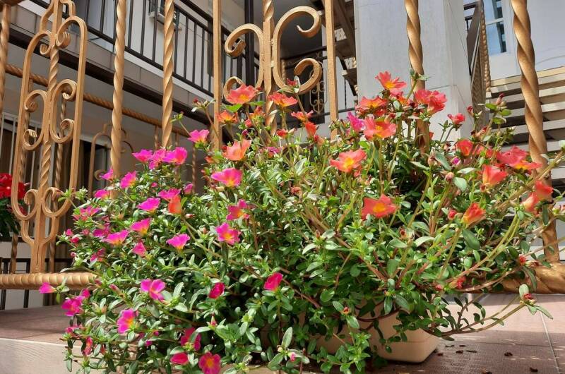 Изображение Изображение гостиницы &quot;Частный дом «Солнечный берег»&quot; #3 #3