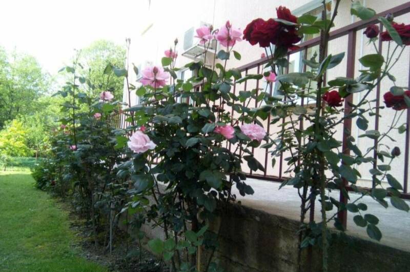 Изображение Изображение гостиницы "Гостевой дом «Южаночка»" #7 #7