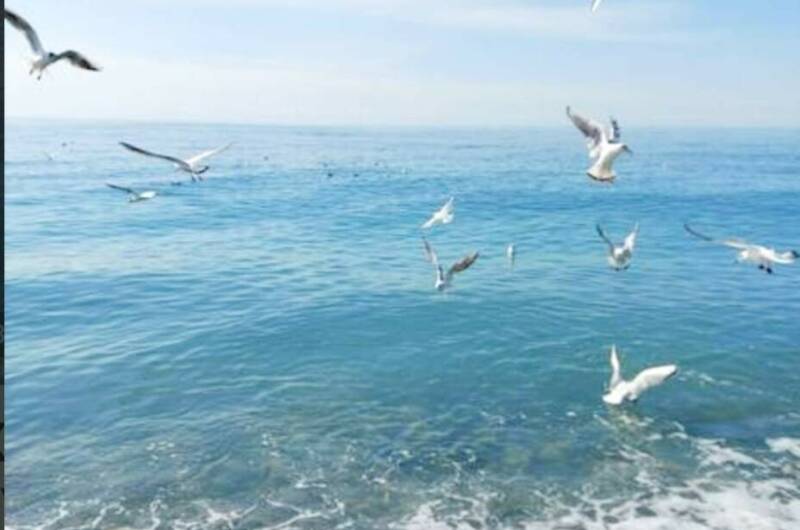 Изображение Изображение квартиры "Однокомнатная у моря" #3 #3