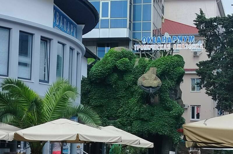 Изображение Изображение квартиры &quot;Апартаменты «Морская звезда»&quot; #6 #6