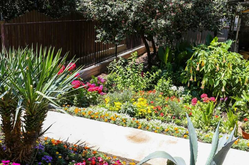 Изображение Изображение гостиницы "Гостевой дом «Афалина»" #5 #5