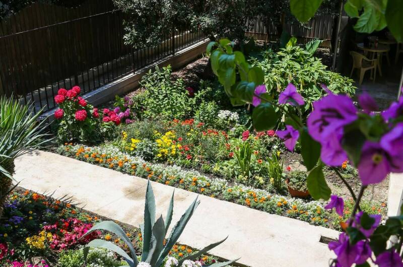 Изображение Изображение гостиницы "Гостевой дом «Афалина»" #6 #6