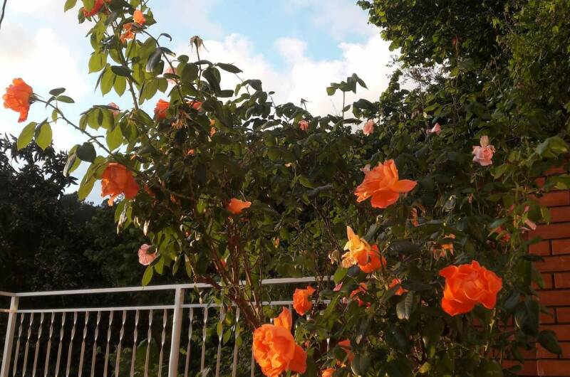 Изображение Изображение гостиницы &quot;Гостевой дом «Винтаж»&quot; #5 #5