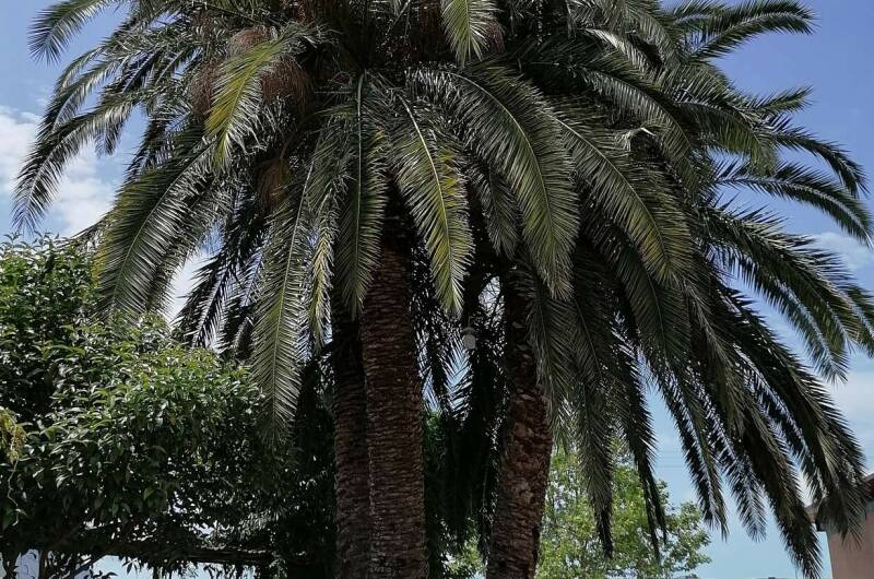 Изображение Изображение квартиры &quot;Большая квартира у моря&quot; #6 #6