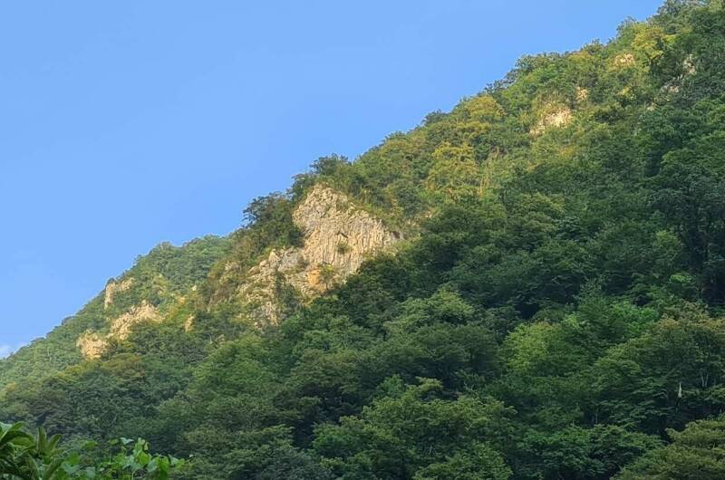 Изображение Изображение квартиры "Дом под ключ на Русских Добровольцев" #5 #5