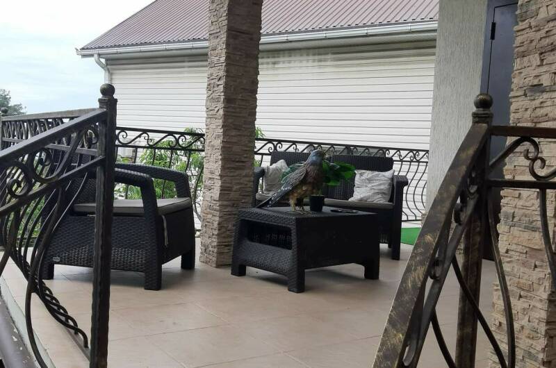 Изображение Изображение гостиницы "Гостевой дом на Мамайке" #4 #4