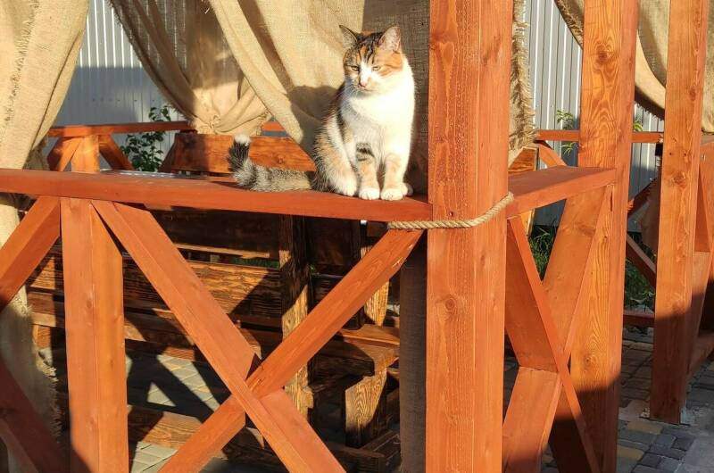 Изображение Изображение гостиницы &quot;Эко-отель «Миланд»&quot; #5 #5