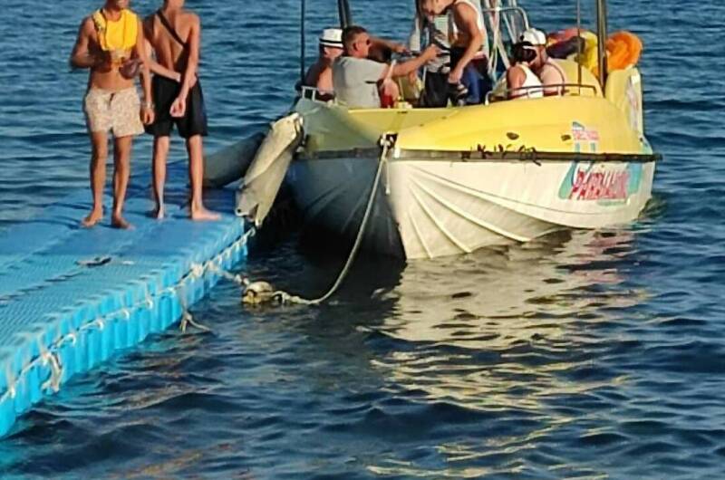 Изображение Изображение отеля / гостиницы "Эко-отель «Миланд»" #11 #9