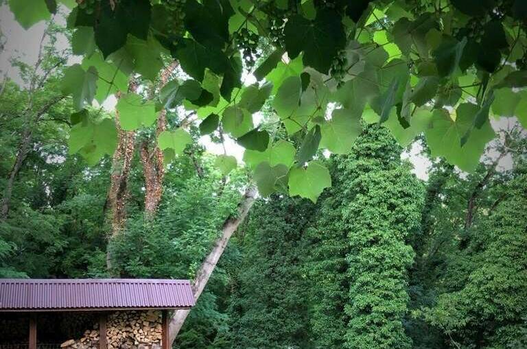 Изображение Изображение гостиницы &quot;Гостевой дом «Spring house»&quot; #8 #8