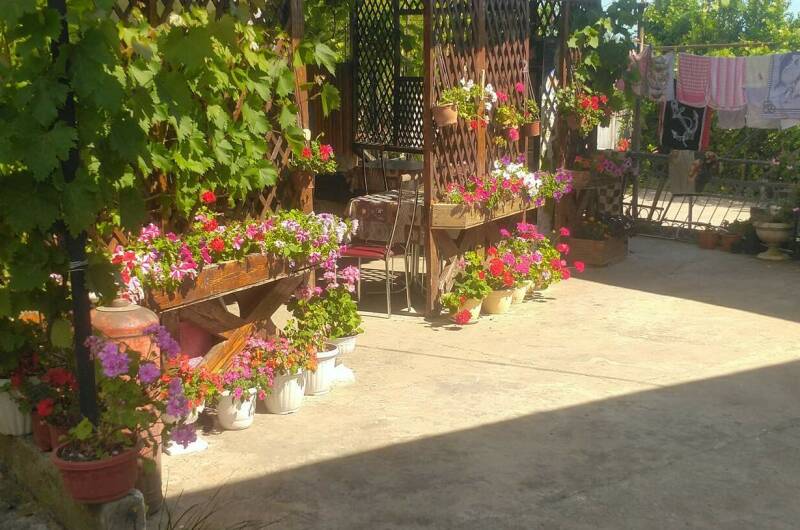 Изображение Изображение гостиницы &quot;Гостевой дом «Ga-Ga»&quot; #5 #5