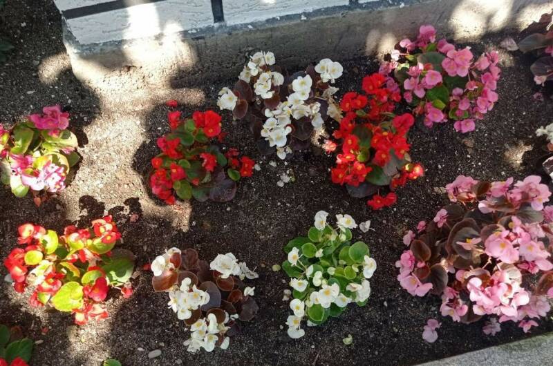 Изображение Изображение гостиницы "Гостевой дом «Татьяна»" #4 #4