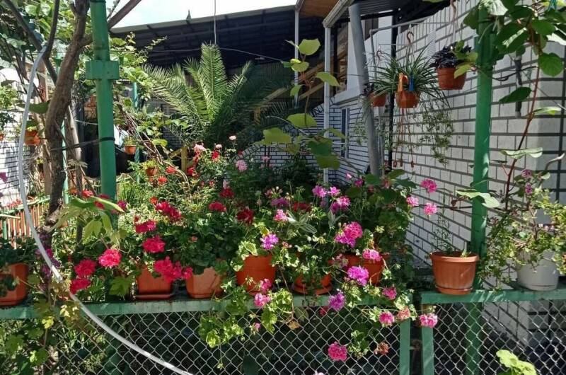 Изображение Изображение гостиницы "Гостевой дом «Татьяна»" #5 #5