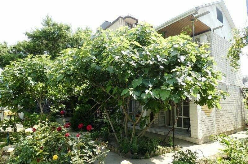 Изображение Изображение гостиницы "Гостевой дом на Самбурова" #1 #1