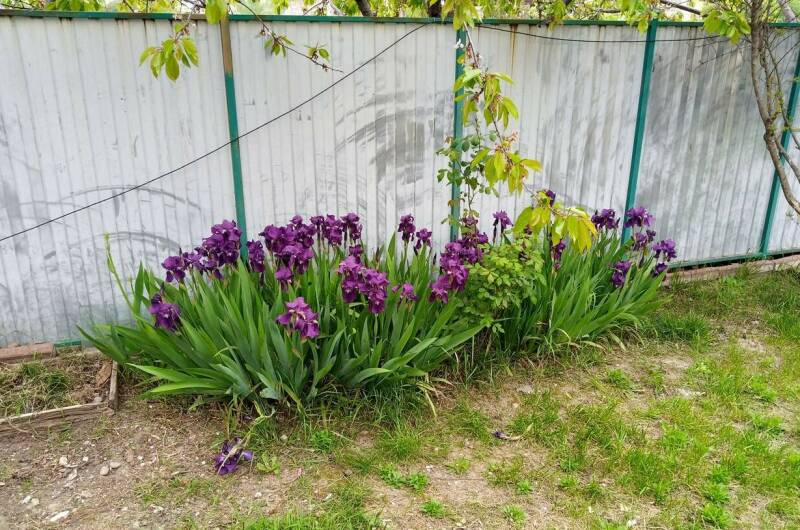 Изображение Изображение гостиницы &quot;Гостевой дом «Капитан Врунгель»&quot; #3 #3